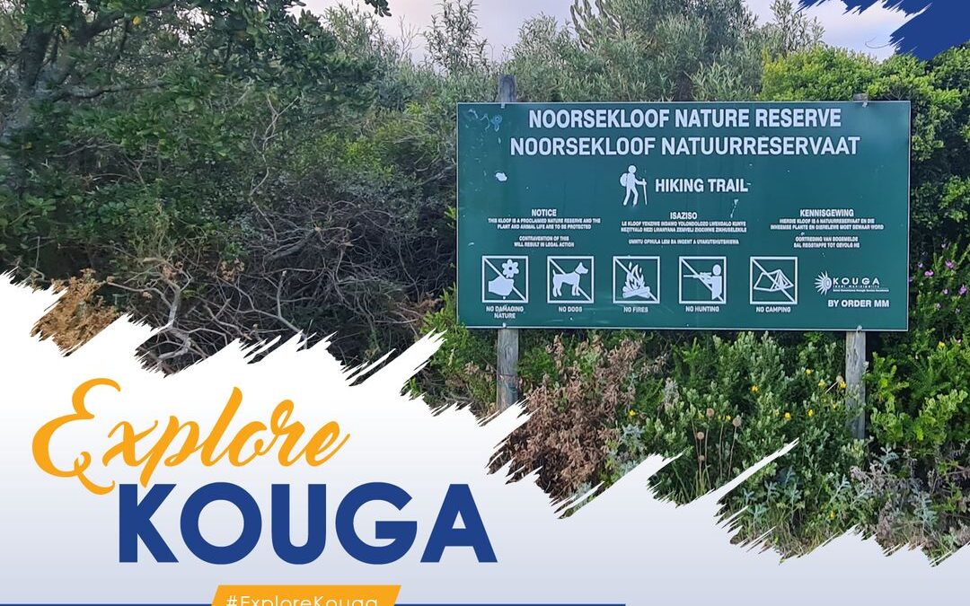 Discover Noorsekloof Nature Reserve in Jeffreys Bay