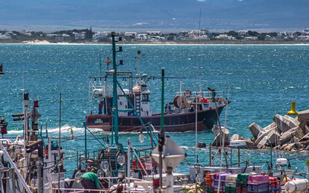 St Francis The Calamari Capital Of South Africa