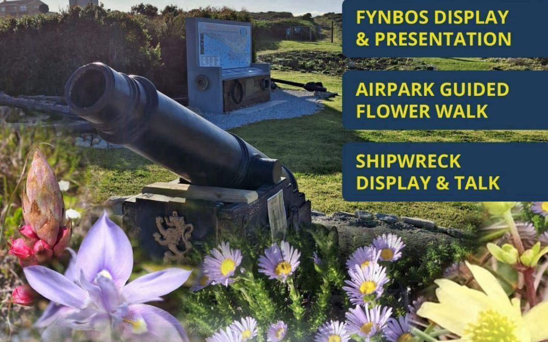 Wildflower and Shipwreck experience at the Calamari Festival