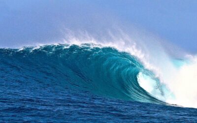 Rip Curl GromSearch Seal Point: U16 Winners Will Be Heading To France