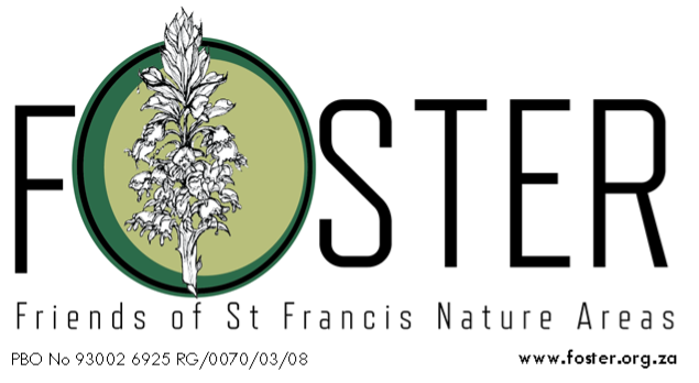 FOSTER Achieves 82.4% in an Independent Assessment – The Friends of St Francis Nature Areas achieves impressive management effectiveness score