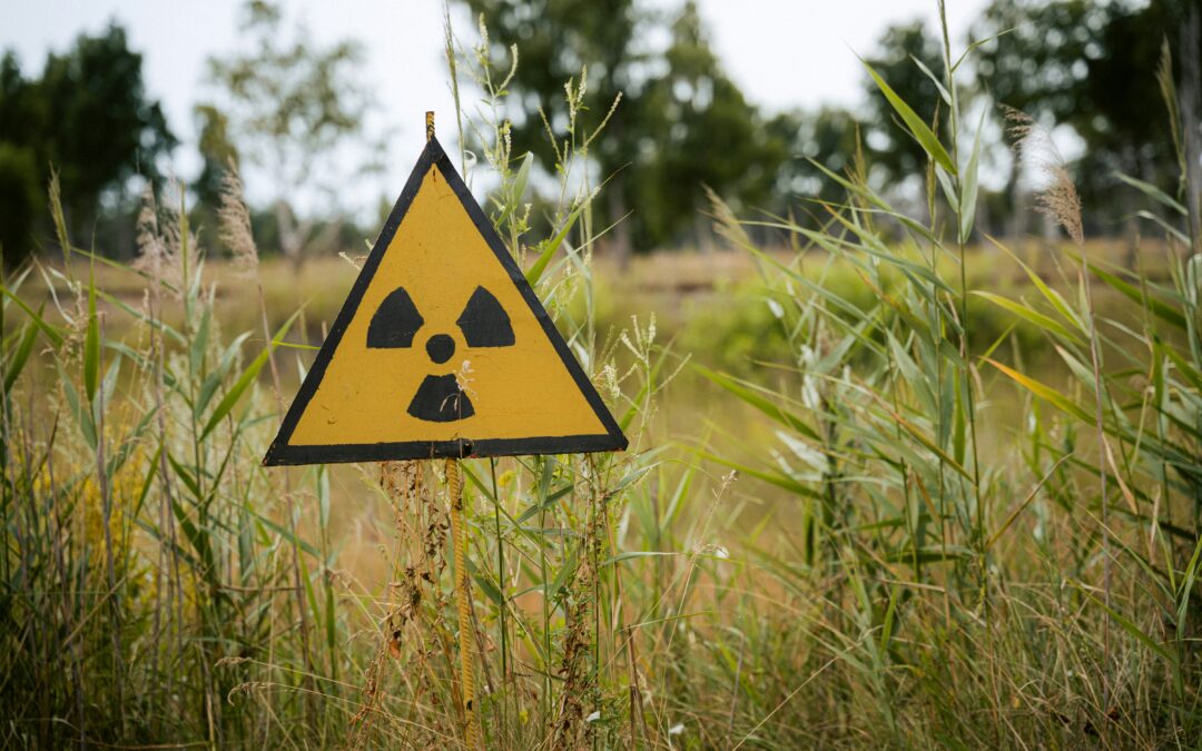 Community Opposition Grows Over Proposed Thyspunt Nuclear Power Station