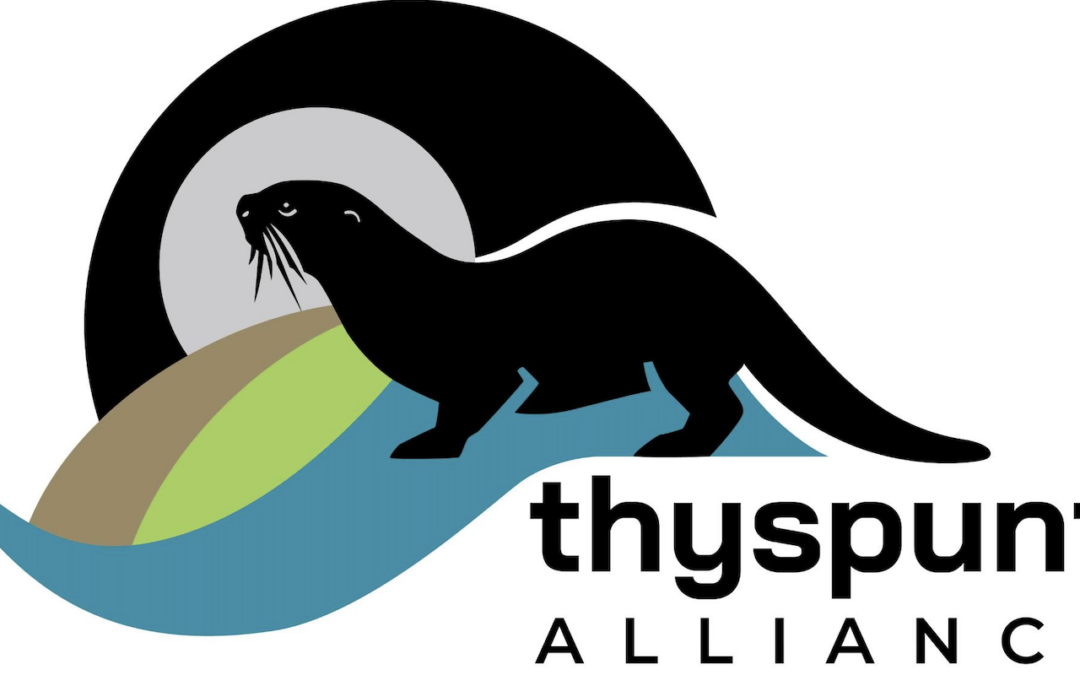 Newsflash: The St Francis Property Owners, including the SFPO Association and the SFPO NPC, Support The Thyspunt Alliance Opposition To Proposed Nuclear Development