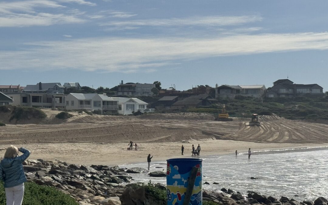 Massive Dune Stabilisation Program in Cape St Francis – Photo Of The Day