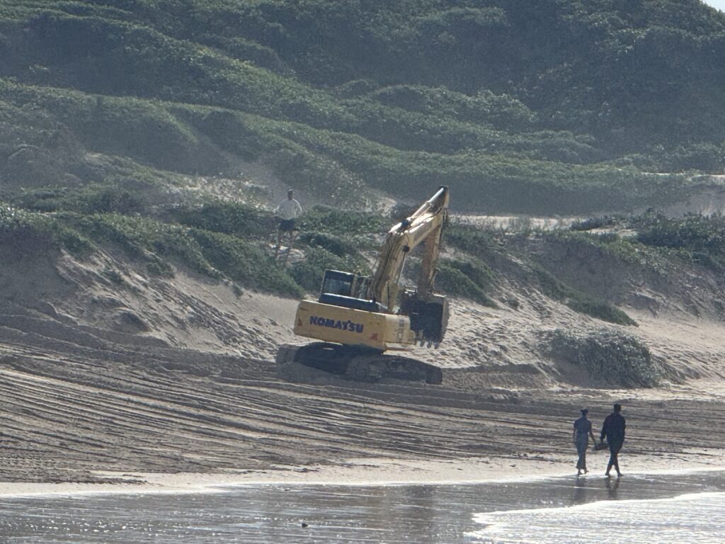 Massive Dune Stabilisation Program 