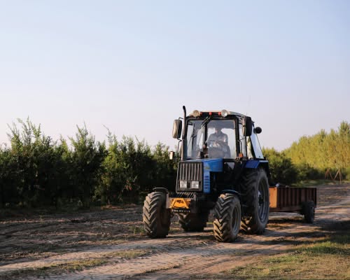 Cacadu Development Agency Wound Up After Years of Underperformance