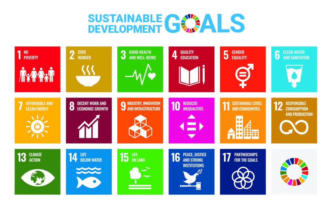 Kouga takes local action on global sustainable development goals and completes its first Voluntary Local Review