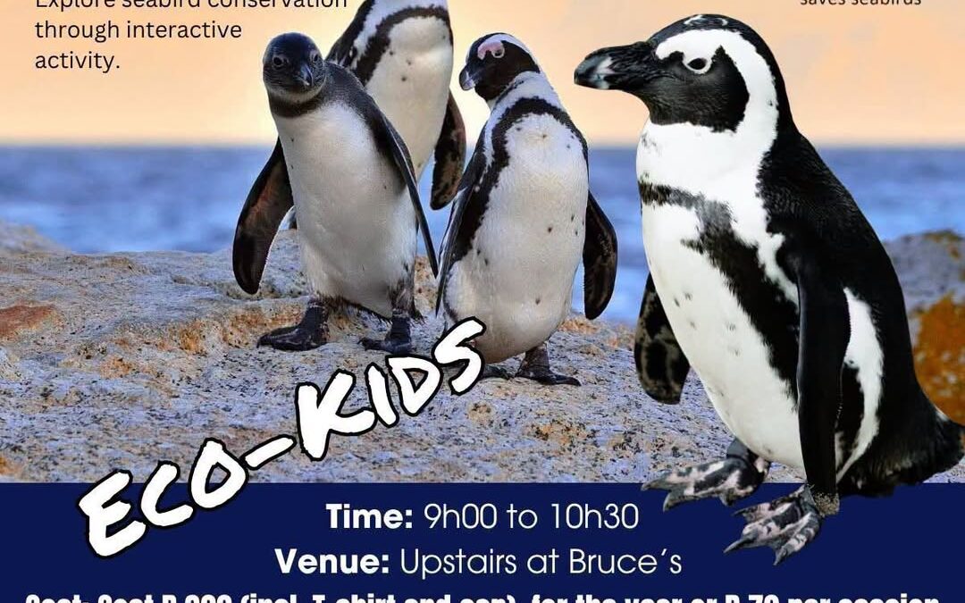 Kromme Enviro-Trust Eco-Kids Focuses on Saving Penguins