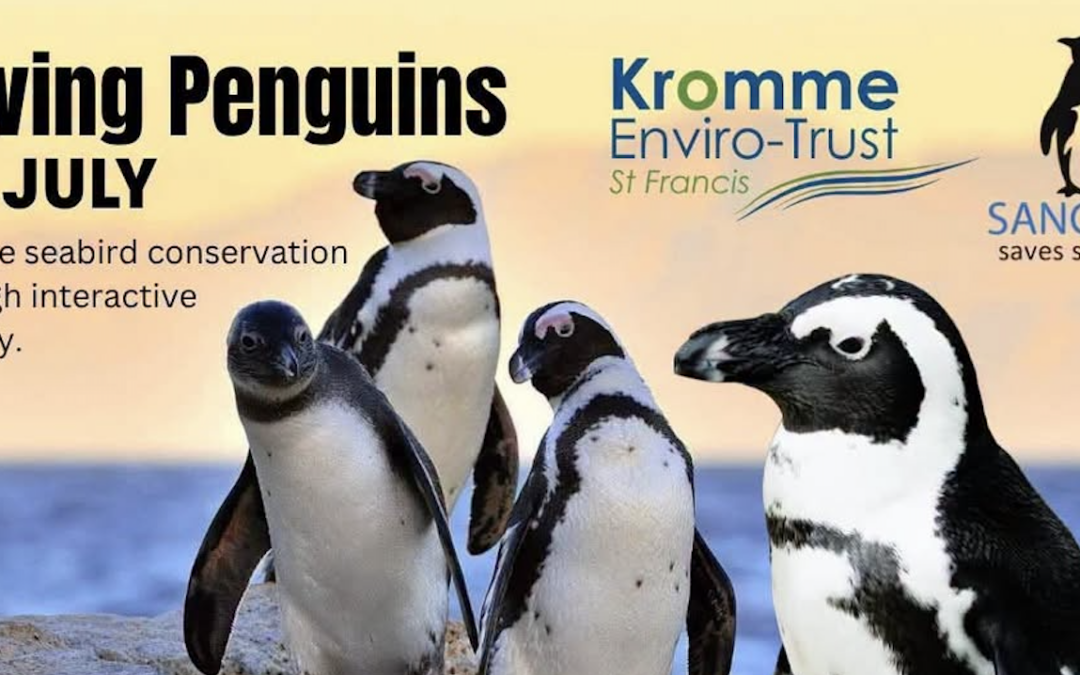 Kromme Enviro-Trust Eco-Kids Focuses on Saving Penguins