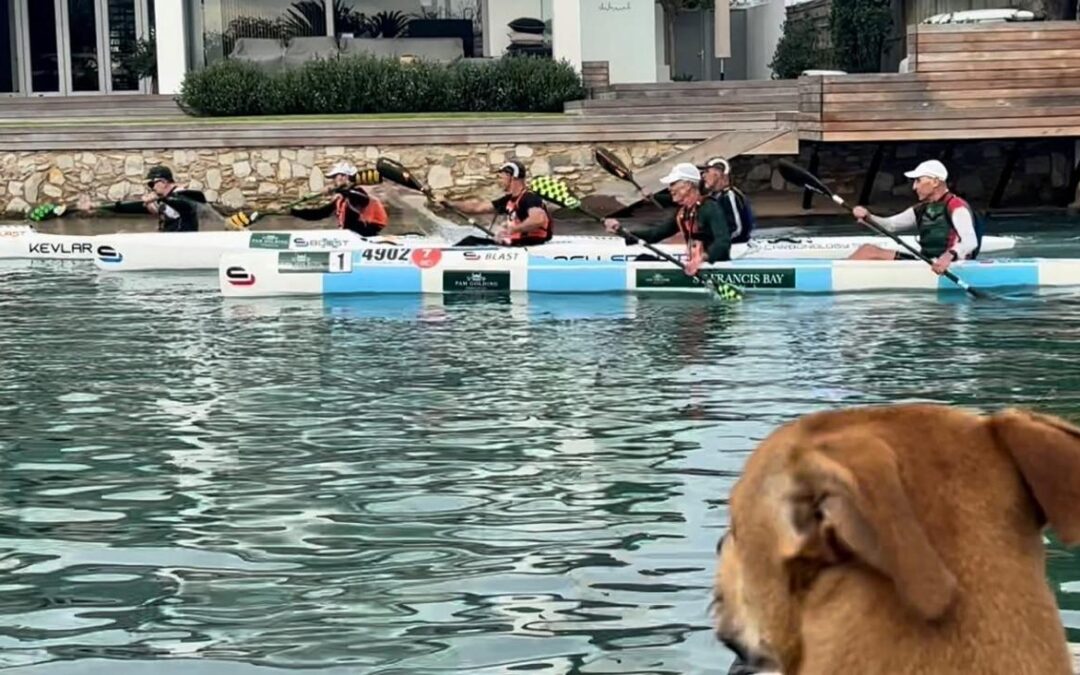 Raffy The Dog Looks On At The Pam Golding Canals Winter Doubles Challenge  – Photo Of The Day And It’s A Classic