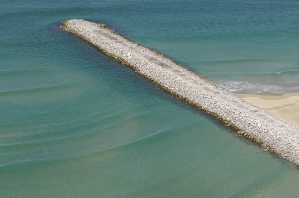 Worth Fighting For – an excerpt from the Beach Restoration Project video