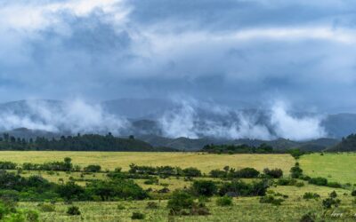 A Misty Morning In Kouga – Stunning Clive Wright Photo Of The Day