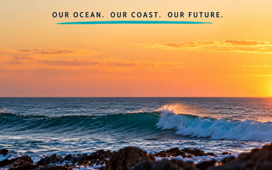 Offshore Gas Development Back