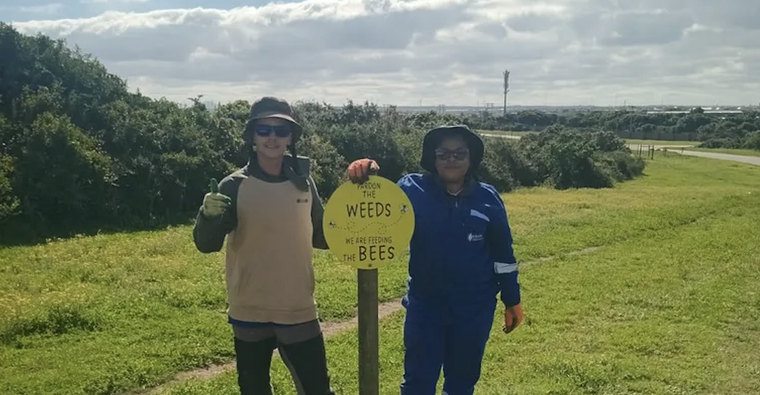 Kouga Local Municipality goes no-mow this September – giving its lawnmowers a break and giving nature a chance to shine.