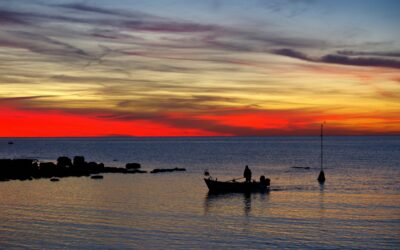 Mozambique: Sunshine Just Up The Road