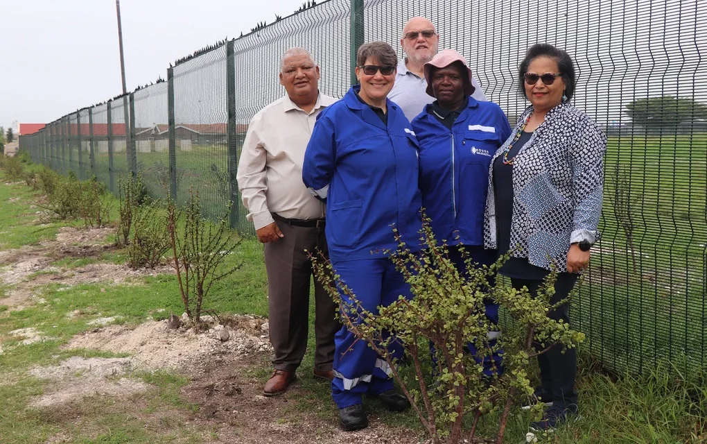 Municipality helps plant 100 Spekboom at Pellsrus Primary School